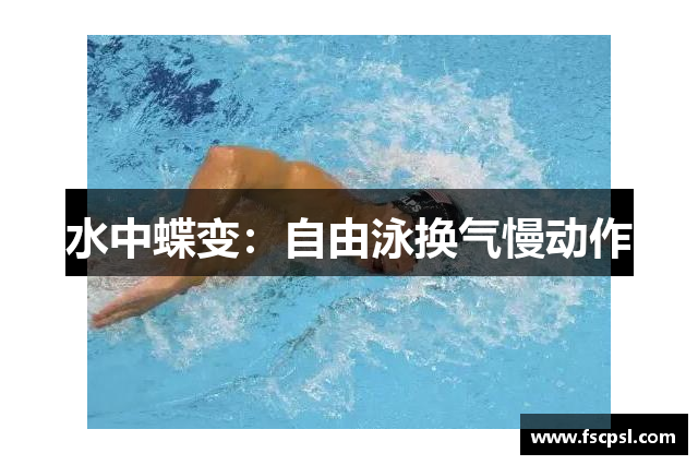 水中蝶变：自由泳换气慢动作